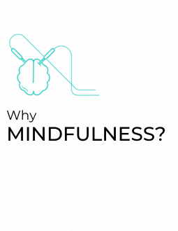 Why Mindfulness